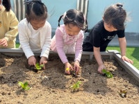 솔미갤러리<오송솔미게시판<오송솔미유치원 오송솔미유치원