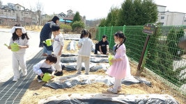 공지사항<공지사항<유치원<수성초등학교 수성초등학교