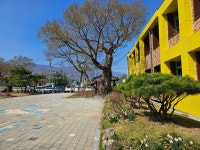 연풍사계<연풍사계<학교안내<연풍초등학교 연풍초등학교