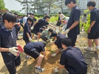 포토갤러리<학교앨범<알림마당<보은중학교 보은중학교
