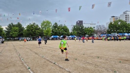 학교앨범<열린마당<청주교육대학교부설초등학교 청주교육대학교부설초등학교