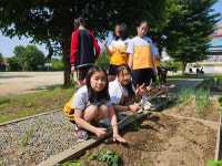 학교앨범<열린마당<청주교육대학교부설초등학교 청주교육대학교부설초등학교