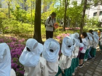유치원행사앨범<내곡소식<병설유치원<청주내곡초등학교 청주내곡초등학교