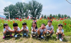 행사앨범<병설유치원<성화초등학교 성화초등학교