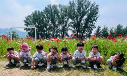 행사앨범<병설유치원<성화초등학교 성화초등학교