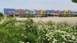 교육활동앨범<학교사랑<대미마당<대미초등학교 대미초등학교