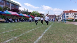 대림 앨범<대림앨범<대림소식<충주대림초등학교 충주대림초등학교