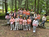 남산앨범(2025)<충주남산유치원 앨범<알림마당<충주남산유치원 충주남산유치원