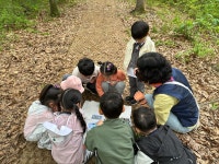 남산앨범(2025)<충주남산유치원 앨범<알림마당<충주남산유치원 충주남산유치원