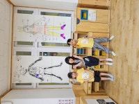 유치원앨범<진흥게시판<병설유치원<진흥초등학교 진흥초등학교