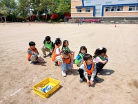 쌍봉앨범<학교소식<쌍봉초등학교 쌍봉초등학교