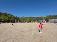 수한앨범<수한소식<수한초등학교 수한초등학교