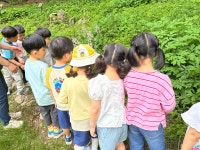 유치원 앨범<동광유치원<동광초등학교 동광초등학교