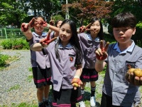 학교앨범<열린마당<청주교육대학교부설초등학교 청주교육대학교부설초등학교