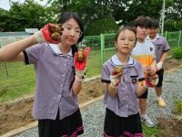 학교앨범<열린마당<청주교육대학교부설초등학교 청주교육대학교부설초등학교