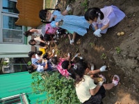 행사 및 체험<대소앨범<대소유치원 대소유치원