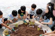 학교앨범<주성소식<주성초등학교 주성초등학교