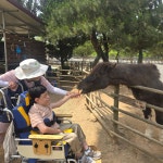 사회적농업(치유) 활동<탄소중립실천학교<교육활동<꽃동네학교 꽃동네학교