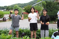 학교앨범<알림마당<노은초등학교 노은초등학교