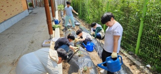 기반 조성<연구학교 운영 앨범<연구학교<상진초등학교 상진초등학교