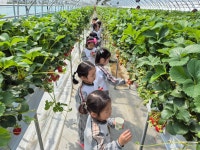 행사앨범<유치원소식<병설유치원<용아초등학교 용아초등학교