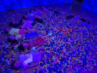 동성이야기<동성갤러리<동성유치원 동성유치원