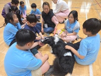 흰구름 어깨동무한마당<[꿈돋움] 갤러리<연구학교<백운초등학교 백운초등학교