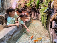 유치원앨범<병설유치원<대가초등학교 대가초등학교