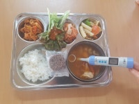 급식앨범<식생활관<알림방<군산용문초등학교 군산용문초등학교