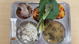 급식사진첩