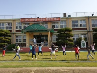 학교앨범<학교소식<서수초등학교 서수초등학교