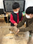놀이가 담긴 마당<병설유치원<전주대성초등학교 전주대성초등학교