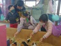 학교행사사진<학교마당<금마초등학교 금마초등학교