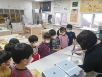 학교앨범<알림마당<봉남초등학교 봉남초등학교