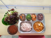 급식앨범<영양소식<소식마당<대아초등학교 대아초등학교