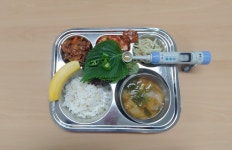 급식앨범<식생활관<학교소식<동진초등학교 동진초등학교