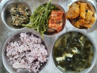 급식앨범<영양소식<학교소식<쌍치초등학교 쌍치초등학교