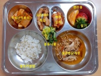 식단사진