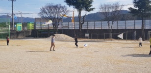 학교앨범<알림방<오동초등학교 오동초등학교