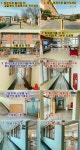 공지사항