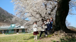 덕치병설 유치원