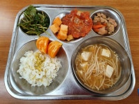 식생활 앨범
