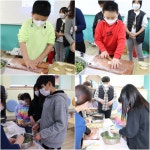 교과활동<백련앨범<백련초등학교 백련초등학교