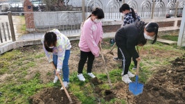 학교주제별앨범