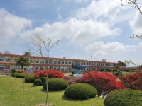 학교풍경<학교소개<청하초등학교 청하초등학교