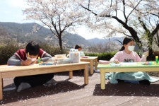 행사 갤러리<학교소식<덕치초등학교 덕치초등학교