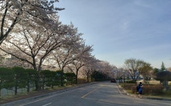 학교시설 및 전경<학교소개<전북대학교사범대학부설고등학교 전북대학교사범대학부설고등학교