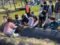 학교앨범<알림방<오동초등학교 오동초등학교