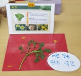 급식사진<식생활관<알림방<오산남초등학교 오산남초등학교