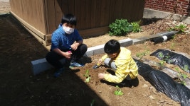 학교앨범<학교소식<산서초등학교 산서초등학교